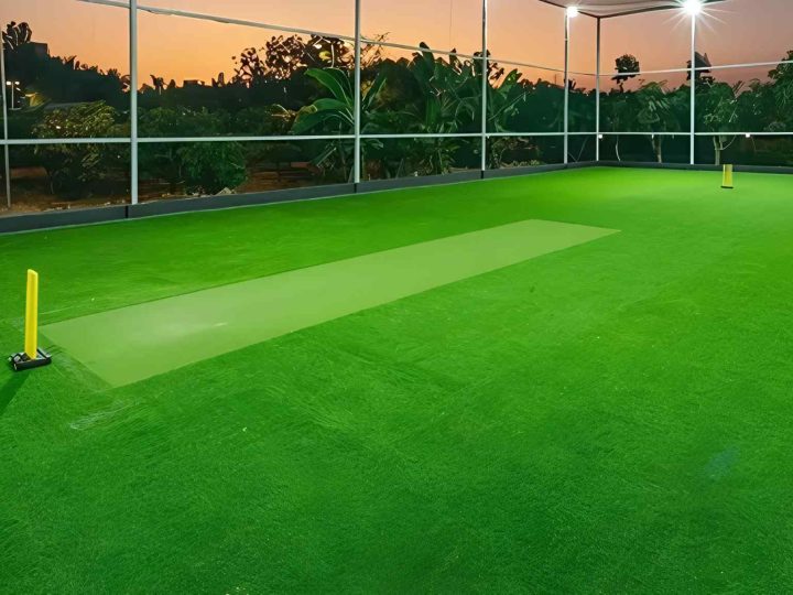 Cricket Turf